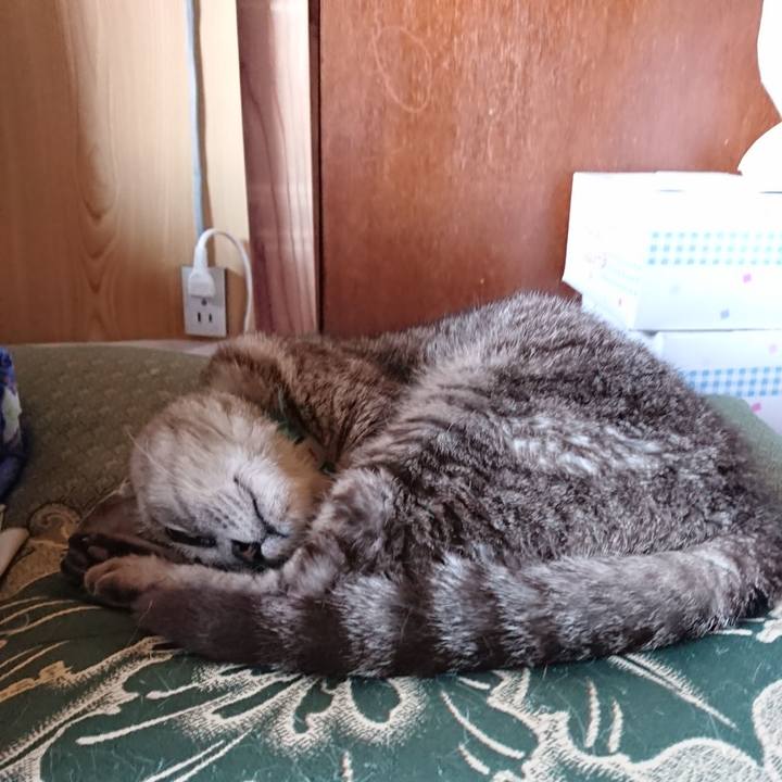 56f00048 225d 49a7 89bf d29288105e4f 1566027374091