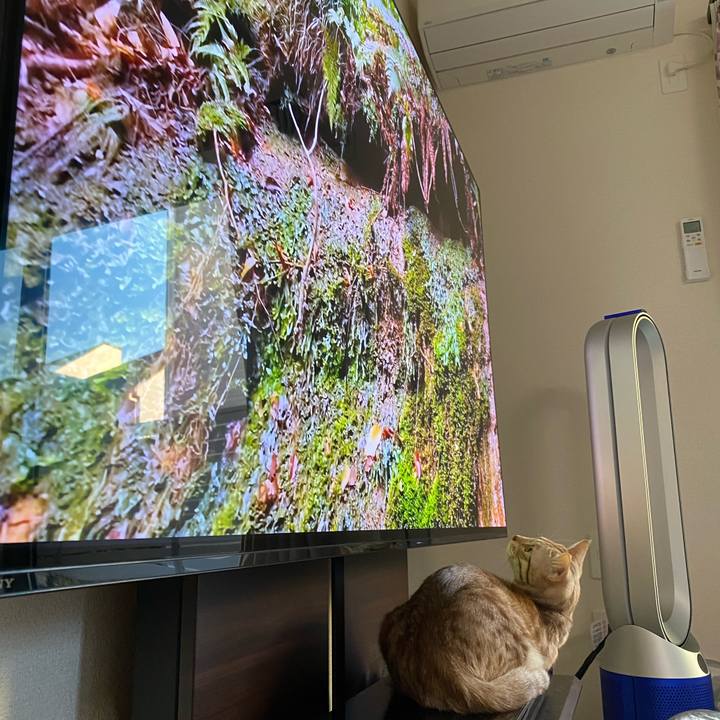 56f00fde 3bb7 4150 81d0 cbb8e003925d 1640472716426