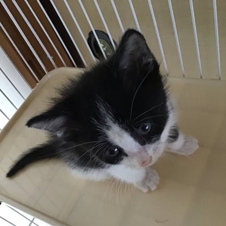 56f02ea7 5d94 4712 ad81 52a3a7853af1 1622540632474