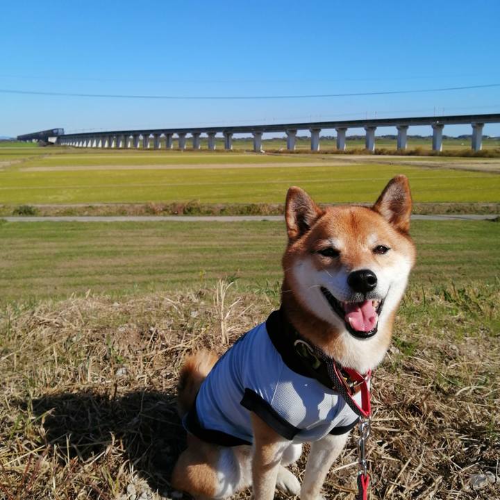 56f03173 26cb 4652 9d24 5993b5c09848 1606103703450