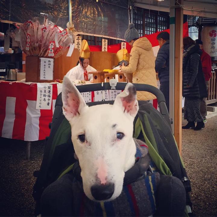 56f04618 ff72 4efb 91ba 268f00b45854 1547124108899