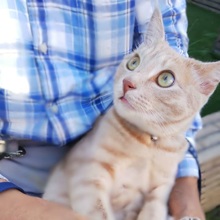 56f05948 1f5b 40fe a796 69096dadc59b 1566036348125