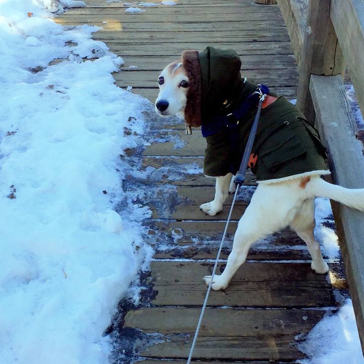 56f05e43 20a0 4ffa 89ae 63bed8da072f 1517140846731