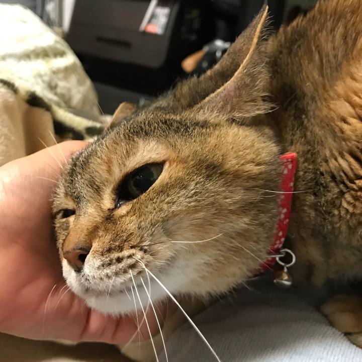 56f06bcb b759 47c3 bb5d 70c409369c5d 1524763226535