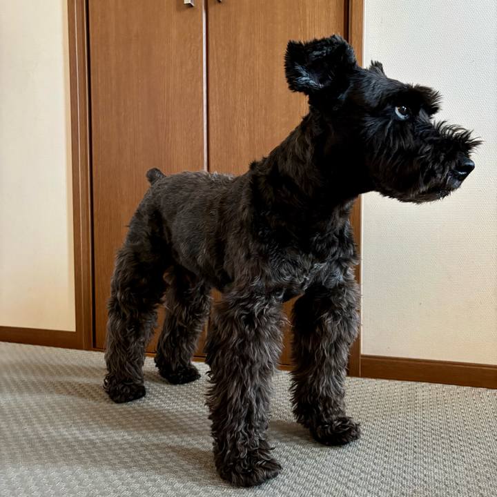 56f06d5c d909 42d8 8793 c27604e3179d 1752369854623