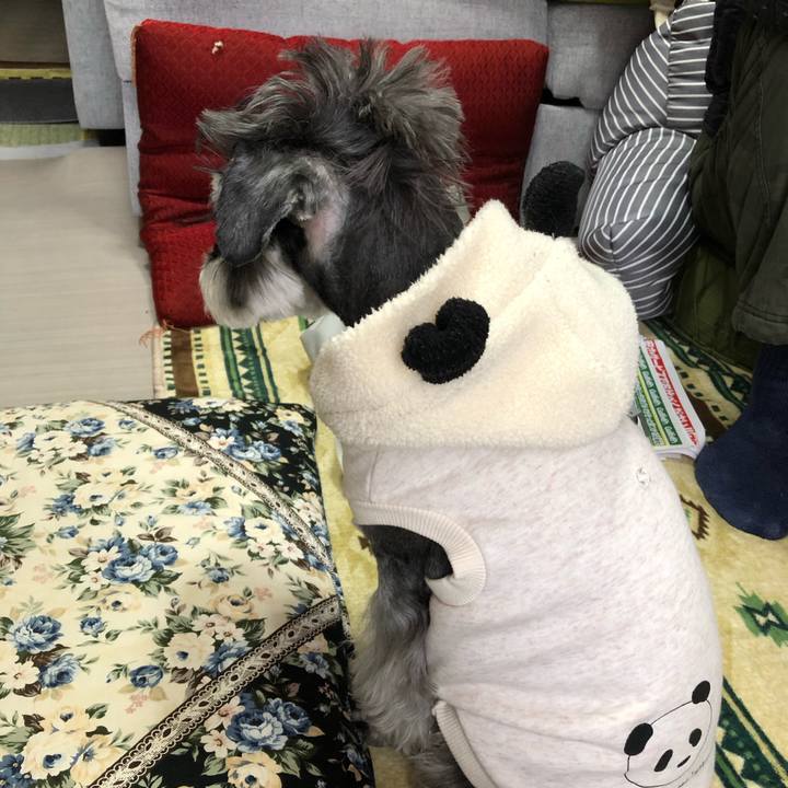 56f09dc5 30e7 4938 962b ea8985548830 1646444731826