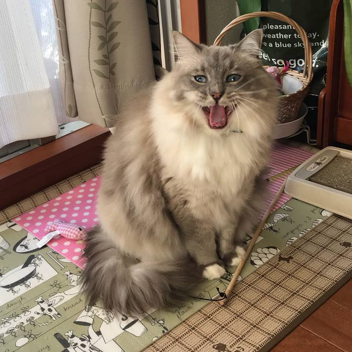 56f0d00e e8cb 4186 b6df f125103951ff 1514184701411