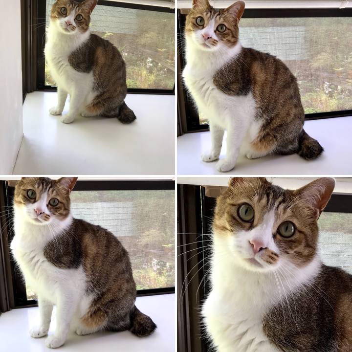 56f0f773 53b1 4ec5 b841 cb1d022d78fb 1528347191449