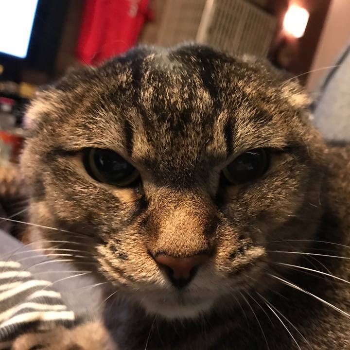 56f113be 76d5 4156 af81 5056e07efb23 1528893076617