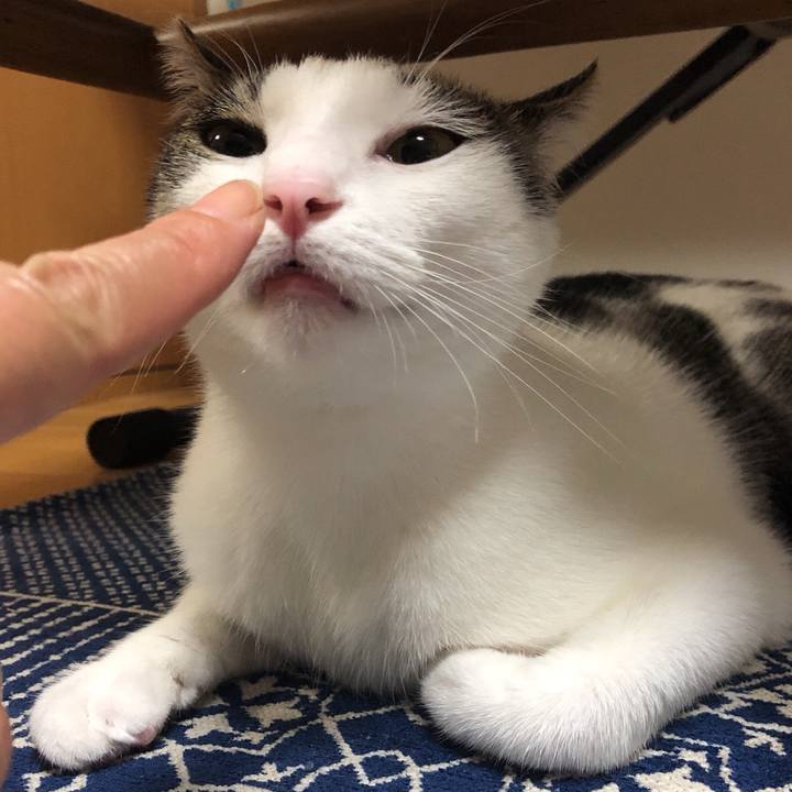 56f12ed2 06c7 447f 9e60 d394bae02115 1595769086108