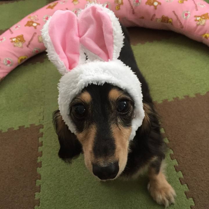 56f12f6a 016f 4772 a411 d03c201932f4 1538734204648