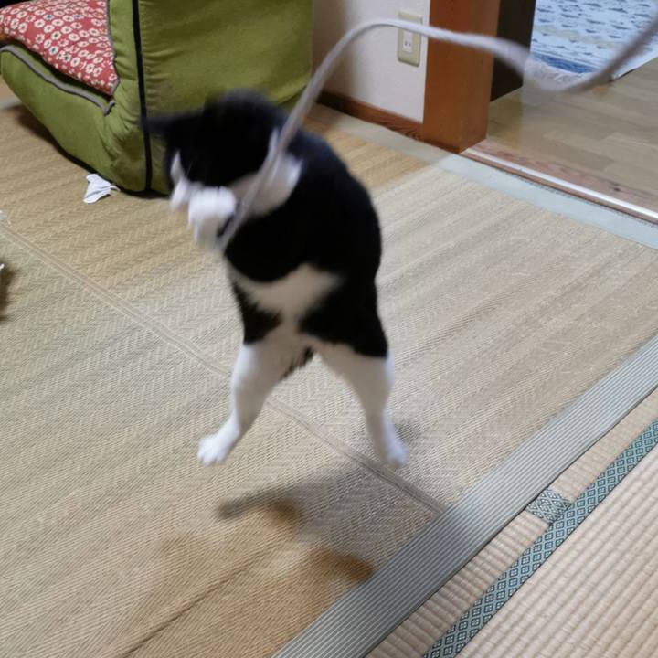 56f12f95 d90b 4a02 b8d4 f4188923b021 1632111674621