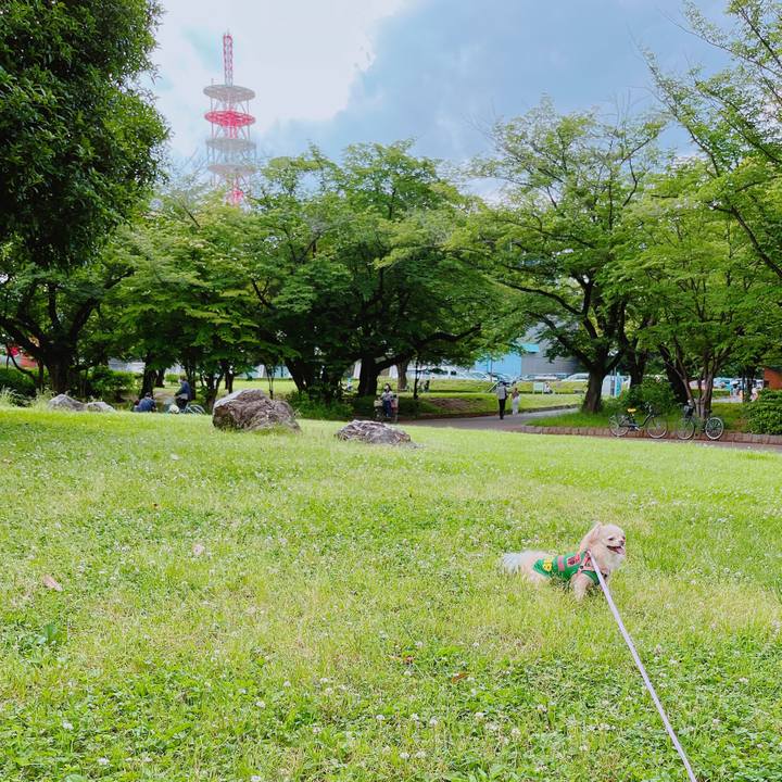 56f1632e acb8 4ff9 bb5f 28ba16ff07b1 1653742262022