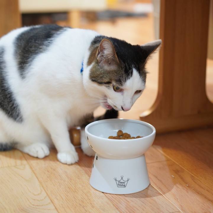 56f17fa2 68ab 4bcc a454 091f789c9edf 1577026381556