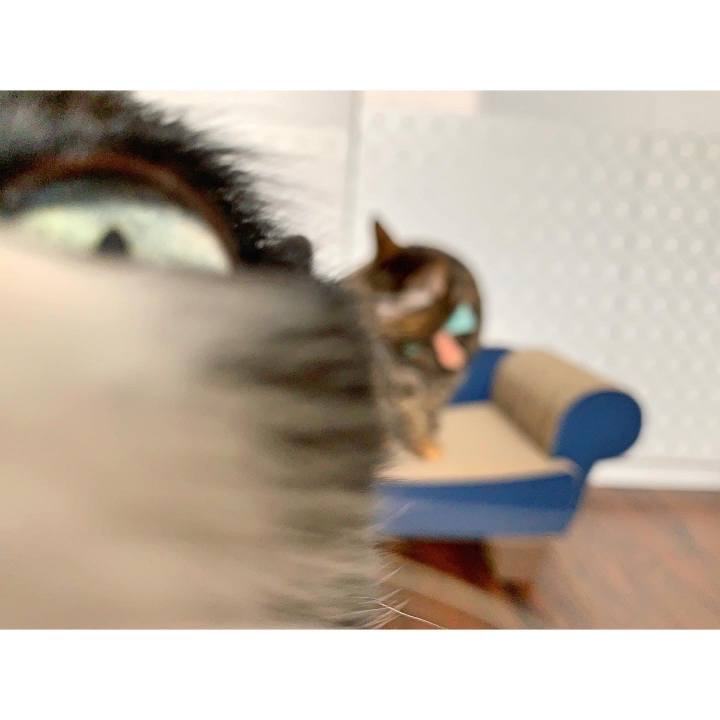 56f198df 5b41 4f8e bb7d d364c7dda576 1574947270126