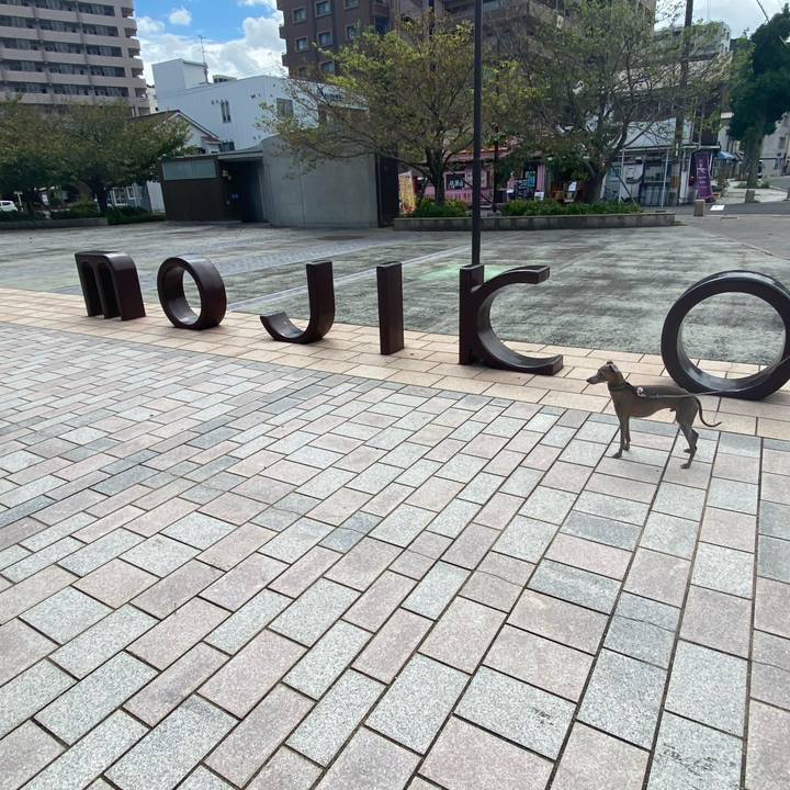 56f19bc9 b85a 43aa 9137 16ac344639f1 1759533698750