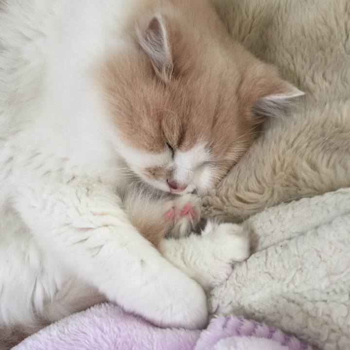 56f1ab7d ed5a 44c6 9fab 529544c37e8f 1539062980999