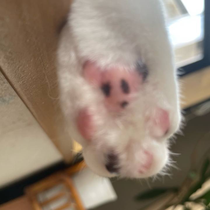 56f1c5d4 9e50 4f14 b6e0 1a98682ababc 1692746298891