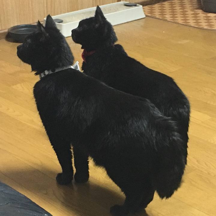 56f1dbb6 541d 407e afdc b5bd7f96fe8a 1532351965796