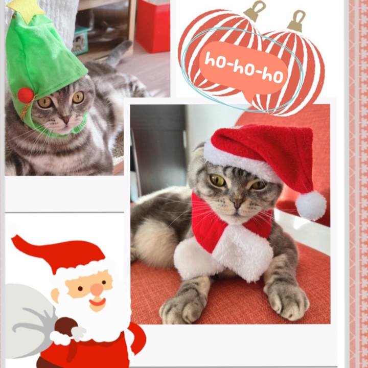 56f1eece 2491 482b 9fa9 7c7a52572a22 1640358309517