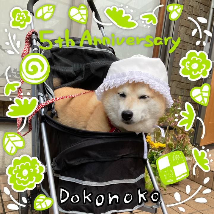 56f21950 f3b0 439c afba 7ff92dc4abc9 1623648958951