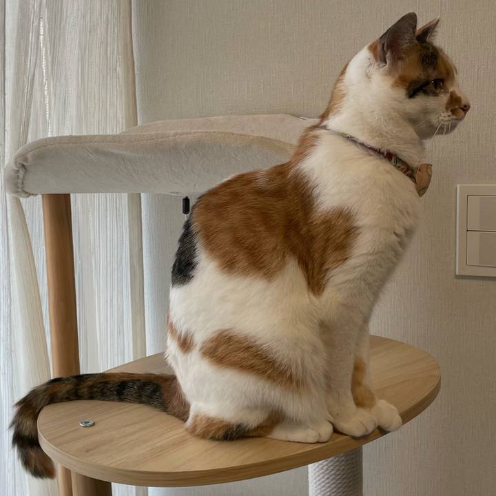 56f21dad b8d4 4479 a34c 8a434a1fa03b 1640144082203