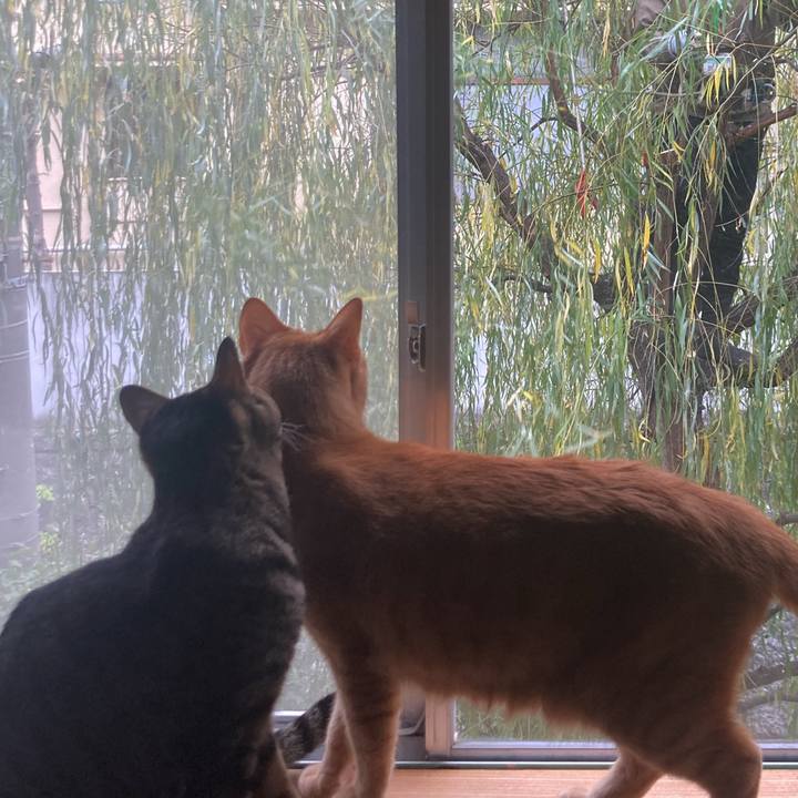 56f21fa1 4ae4 4cf9 ac8b 4a7a8518b46f 1703984688154