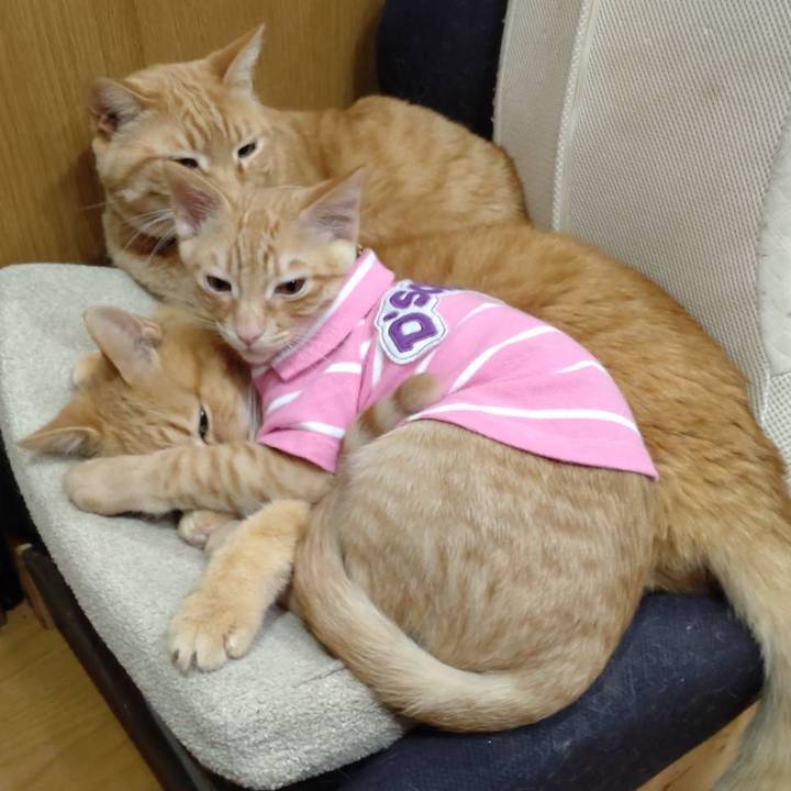 56f24059 5f4c 4d49 840d 252858c515f3 1675411690682