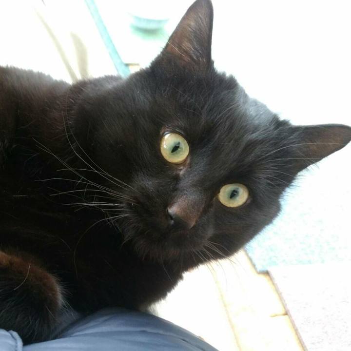 56f253ad 2d00 45b2 860e 89268b02c862 1611976749485