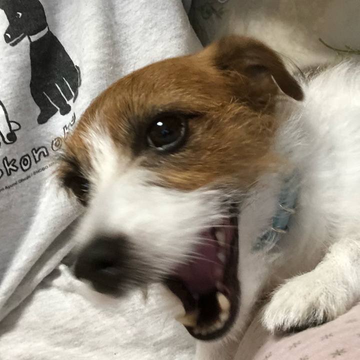 56f2568f 6c27 4c28 9b26 7bf212102c5d 1541680164413