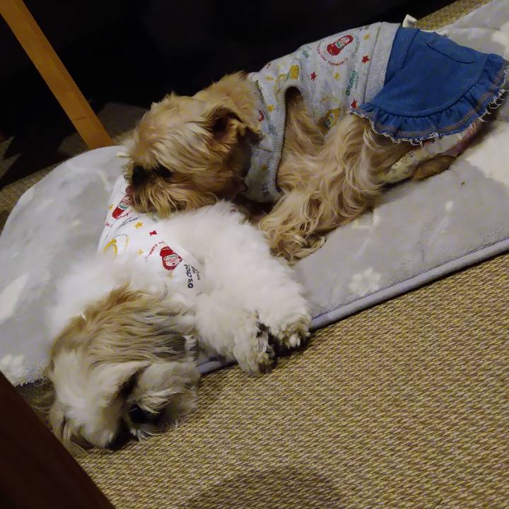 56f25be7 cd7a 4b86 b181 b74c46d1dce5 1669201276796