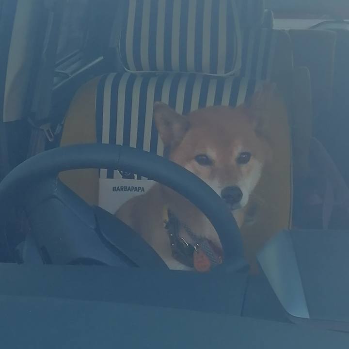 56f28117 ffa6 4ce8 b91d 300b387dca1c 1609053095098