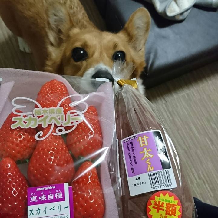 56f2946d b8d0 45f3 94ad 879403b54c52 1551753843265