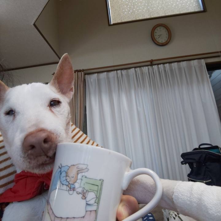 56f34a09 8319 4414 9618 c73657362247 1551744185655