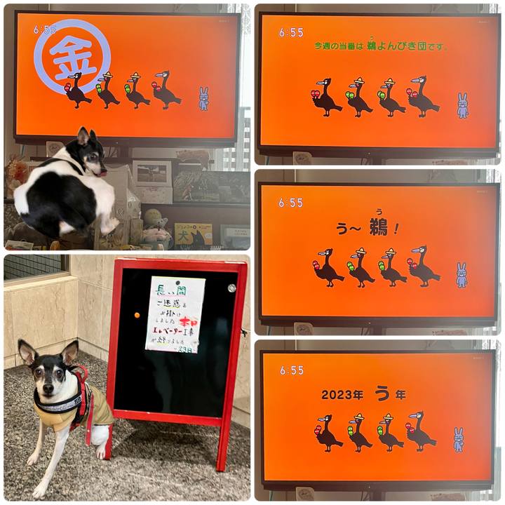 56f3553e 2a3a 44db b701 983c51012415 1679609123511