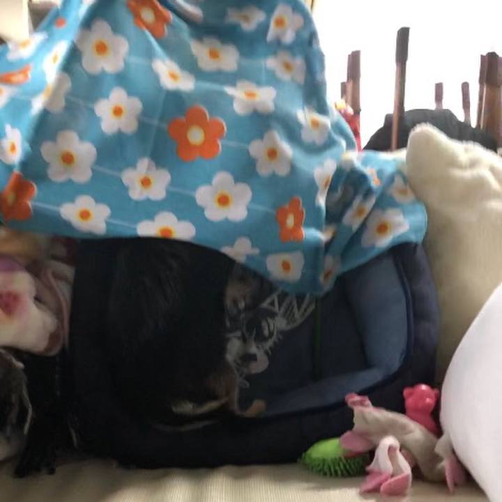 56f375a9 f78d 4010 9114 62c44182e3dd 1580078190603