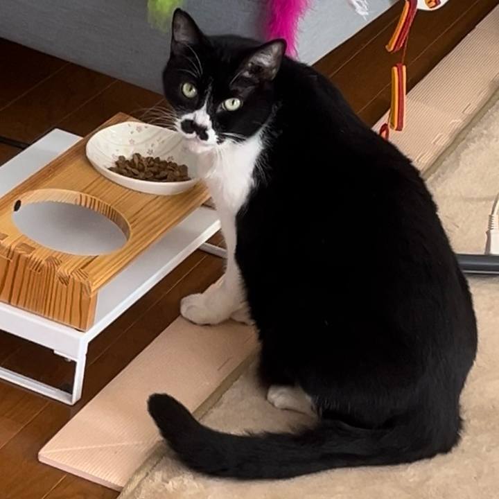 56f37d5d e71c 443d 9701 e238677648df 1705114046372