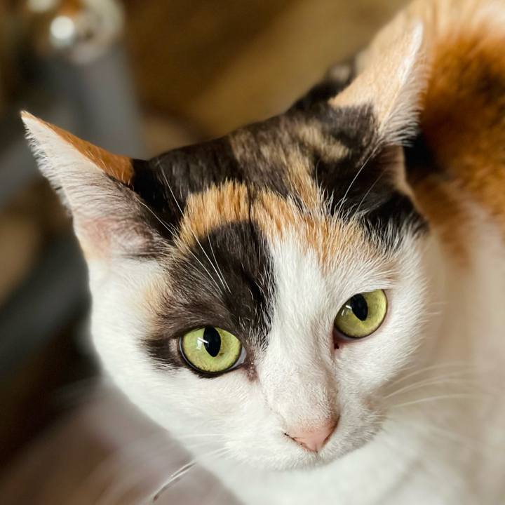 56f37e40 e02a 4b92 bd8a fddfcce952e3 1652495291685