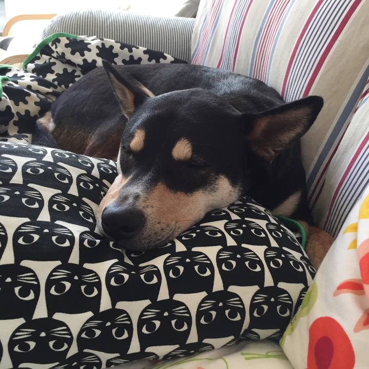 56f3ce3a 37d2 448a a30b 6cbfa2fea8d2 1542509941318