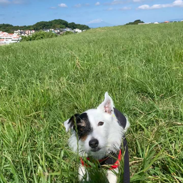 56f3dadc 9ca4 414d 859c 35bdd3f38031 1748391118801