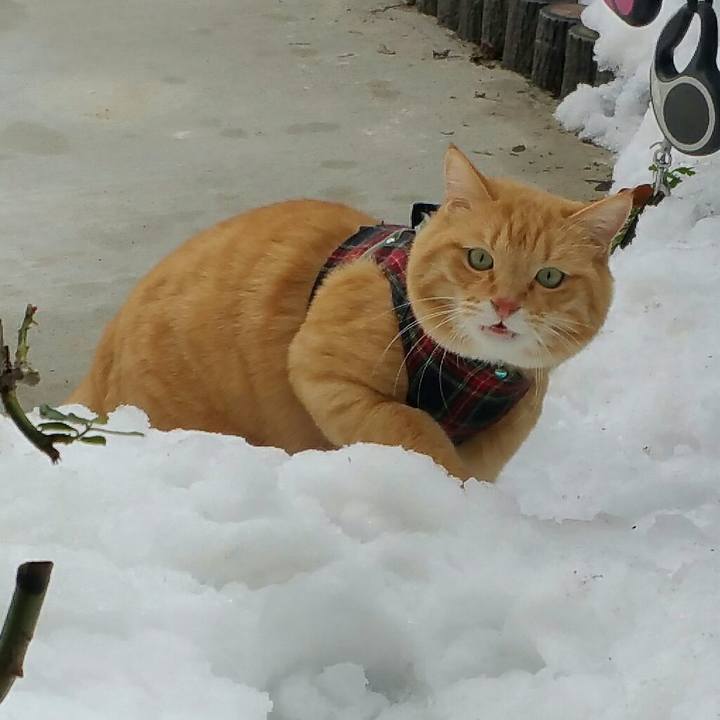 56f3df23 e426 47d6 bf82 ef0a67c7459c 1515389859191