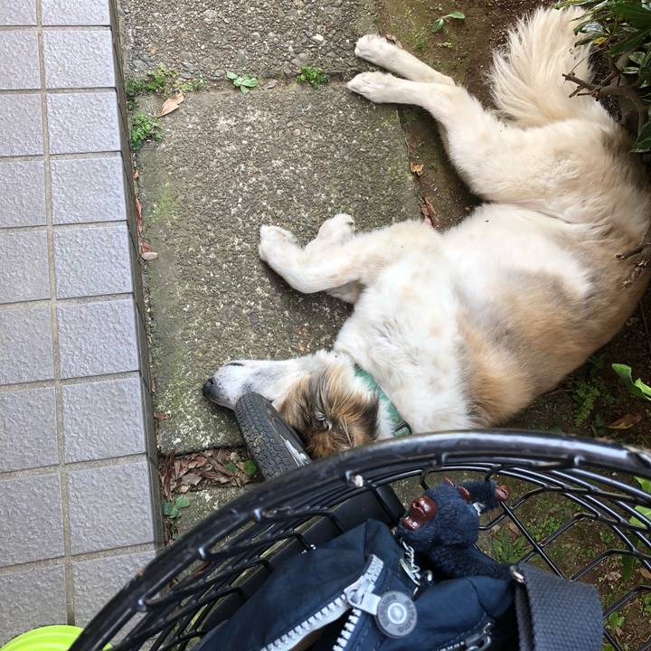 56f40e38 aa5e 4a1d a080 d4dc15c314ff 1526962674151