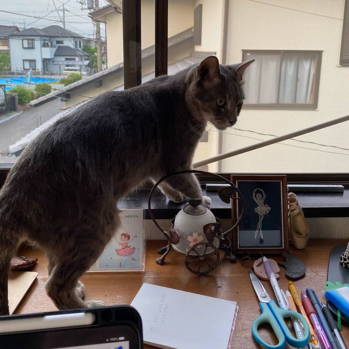 56f415f5 bacf 41b3 a82c c24bba26ed36 1589279921600