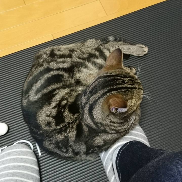 56f43445 4bfe 4a16 a886 0ff2298c8337 1512519212292