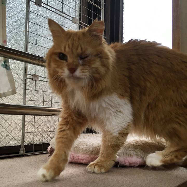 56f43a4f 83f7 434b b987 2fb4f6e0a186 1517225525846