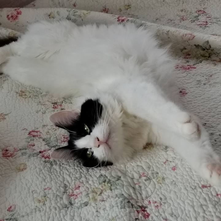 56f44edb c20a 466c a0fb db9e1901e6ef 1589028517173