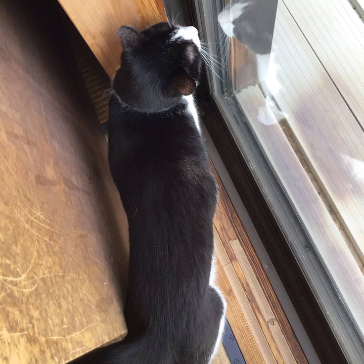 56f4b336 a716 4e8b 944a 504fff323217 1747213686530