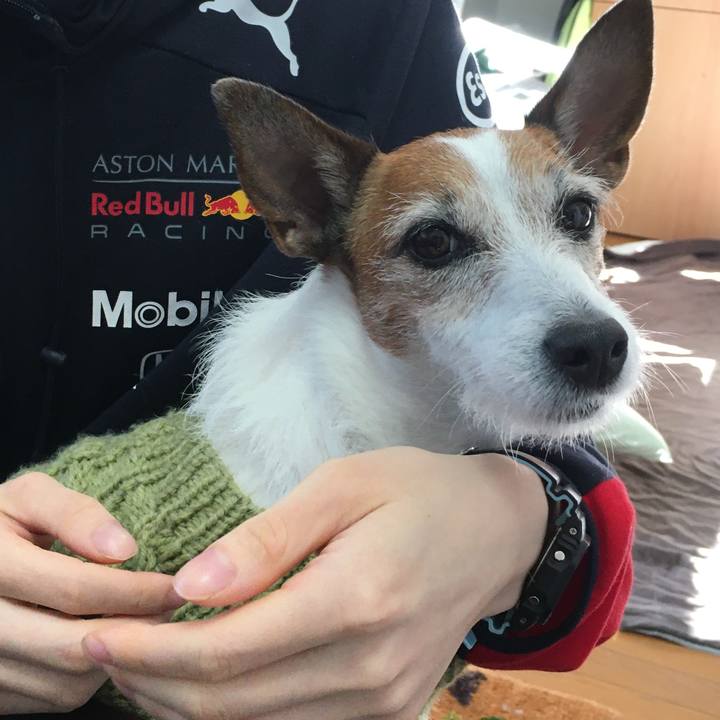 56f4cfd0 5417 45a1 9300 adaa8e8cd810 1610061774193