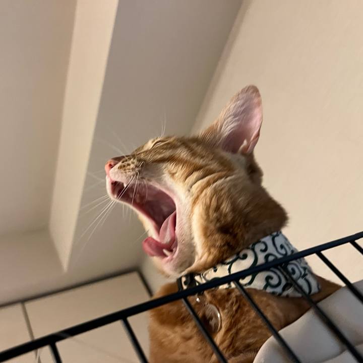 56f502b5 2b37 41e3 ad2e 712f676032c4 1656330015381