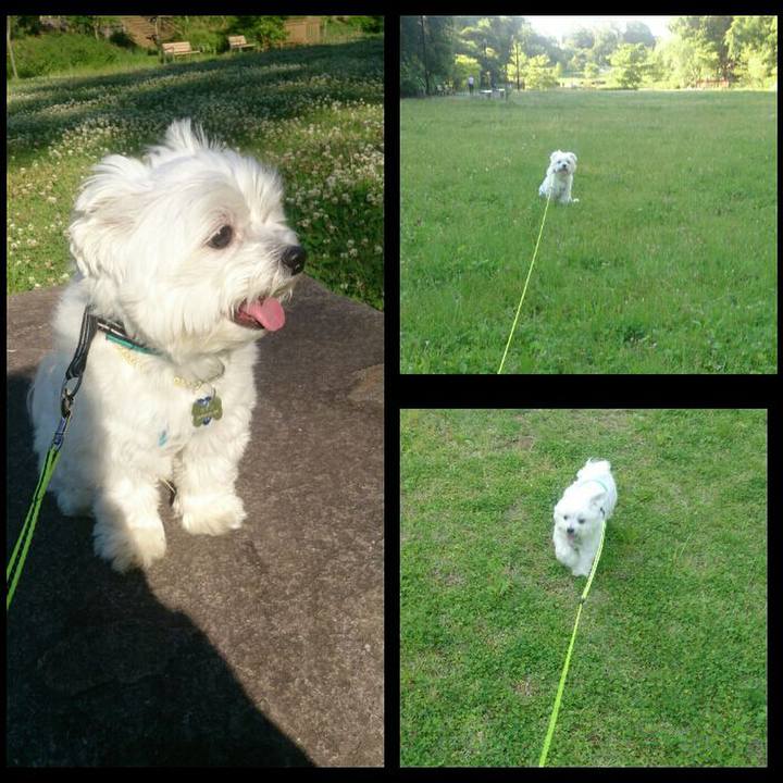 56f53ab6 8bd4 4725 ad45 03325fafbb89 1526978276135